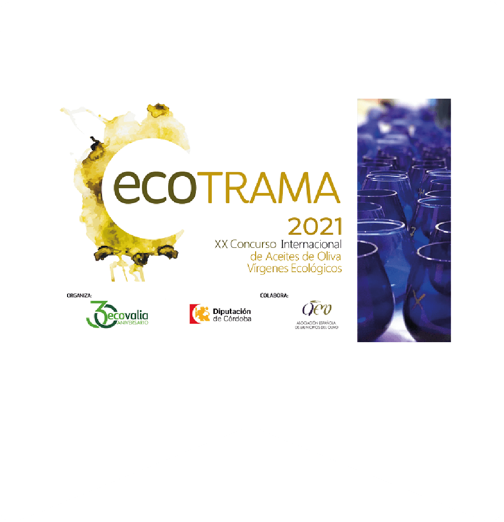 PREMIO 13@300x-8